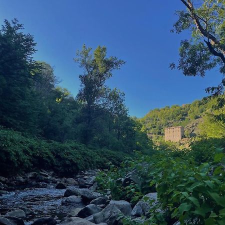 Votre Gite Dans L'Ancienne Huilerie De Tourtel Vernosc-les-Annonay Extérieur photo