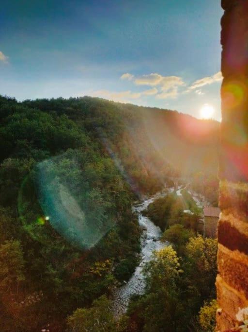 Votre Gite Dans L'Ancienne Huilerie De Tourtel Vernosc-les-Annonay Extérieur photo